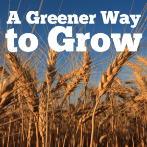 a greener way to grow